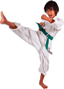 Karate PNG, Transparent Martial Arts Image