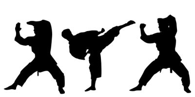 Karate PNG, Transparent Martial Arts Image