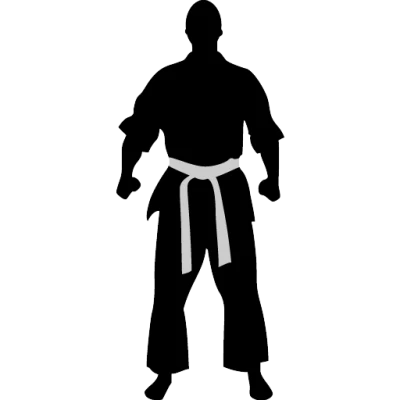 Karate PNG, Transparent Martial Arts Image