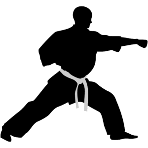 Karate PNG, Transparent Martial Arts Image