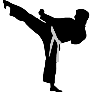 Karate PNG, Transparent Martial Arts Image