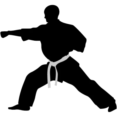 Karate PNG, Transparent Martial Arts Image