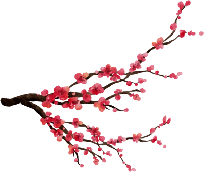 pink cherry blossom,tree branch png,text,flower  PNG Image File Free Download – Clickpng