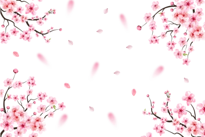 blossom pink cherry,spring png,blossoms  PNG Image File Free Download – Clickpng