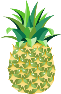 Delicious Food Item PNG