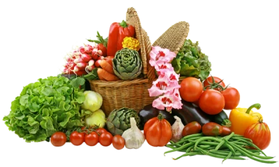 Basket of Fresh Vegetables Free PNG