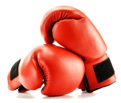 Red Boxing Gloves Pair Free PNG
