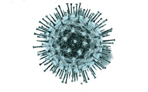 virus,corana virus,pandamic,disease,imfection PNG Image File Free Download – Clickpng