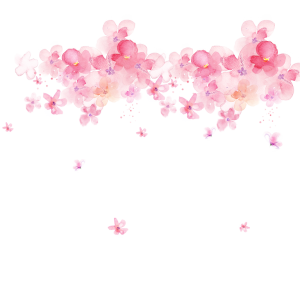 Watercolor Pink Flower Border Overlay PNG