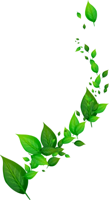 Green Leaves Swirl Border Decoration Free PNG