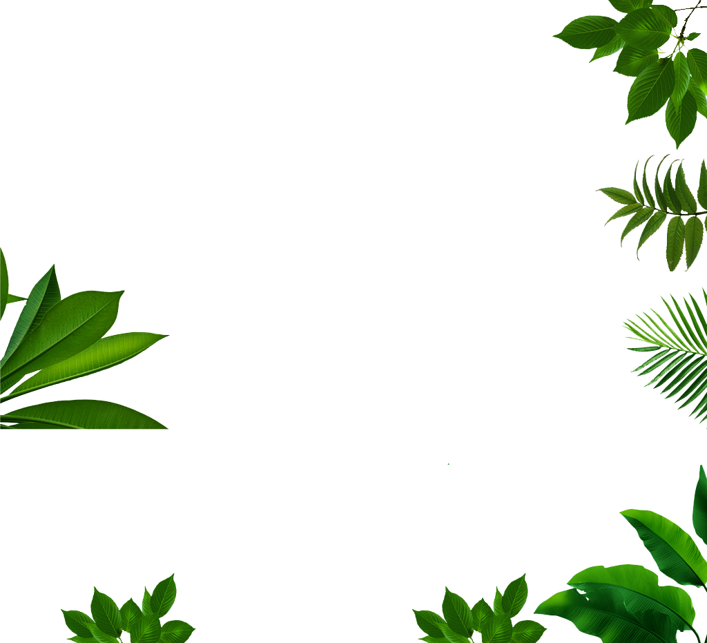 Mixed Tropical Green Leaves Frame Clipart