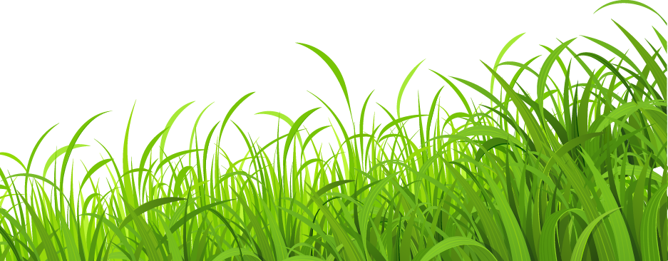 Vector Green Grass Border Clipart