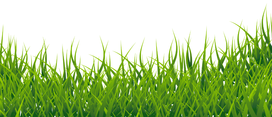 Lush Green Grass Border Free Download