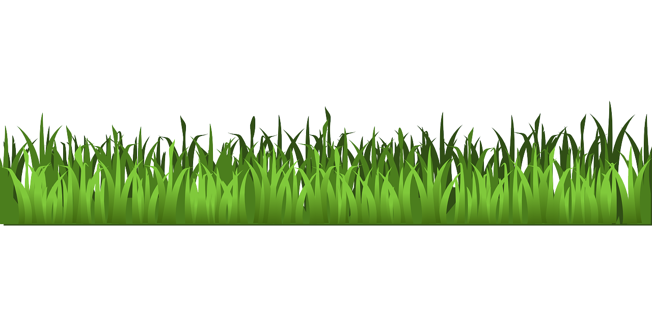 Clean Cut Green Grass Border Clipart