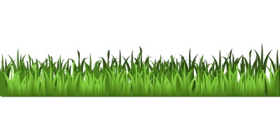 Clean Cut Green Grass Border Clipart