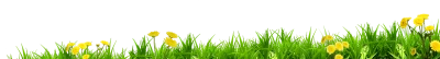 Lush Vector Grass Border Free PNG
