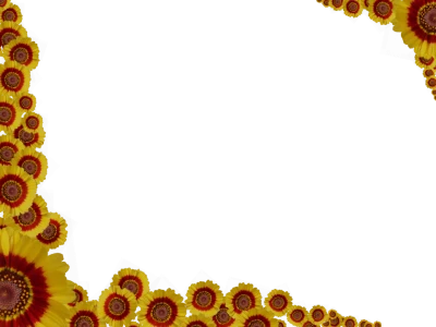 Yellow Daisy Flower Border Free PNG Clipart