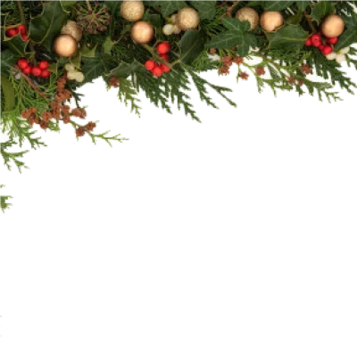 Christmas Pine Garland Border Free PNG