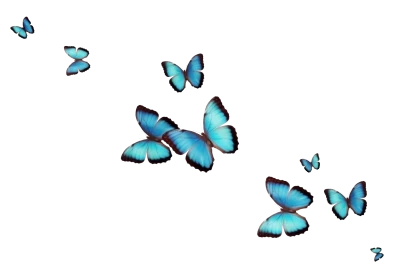 Group of Flying Blue Butterflies Free PNG Image