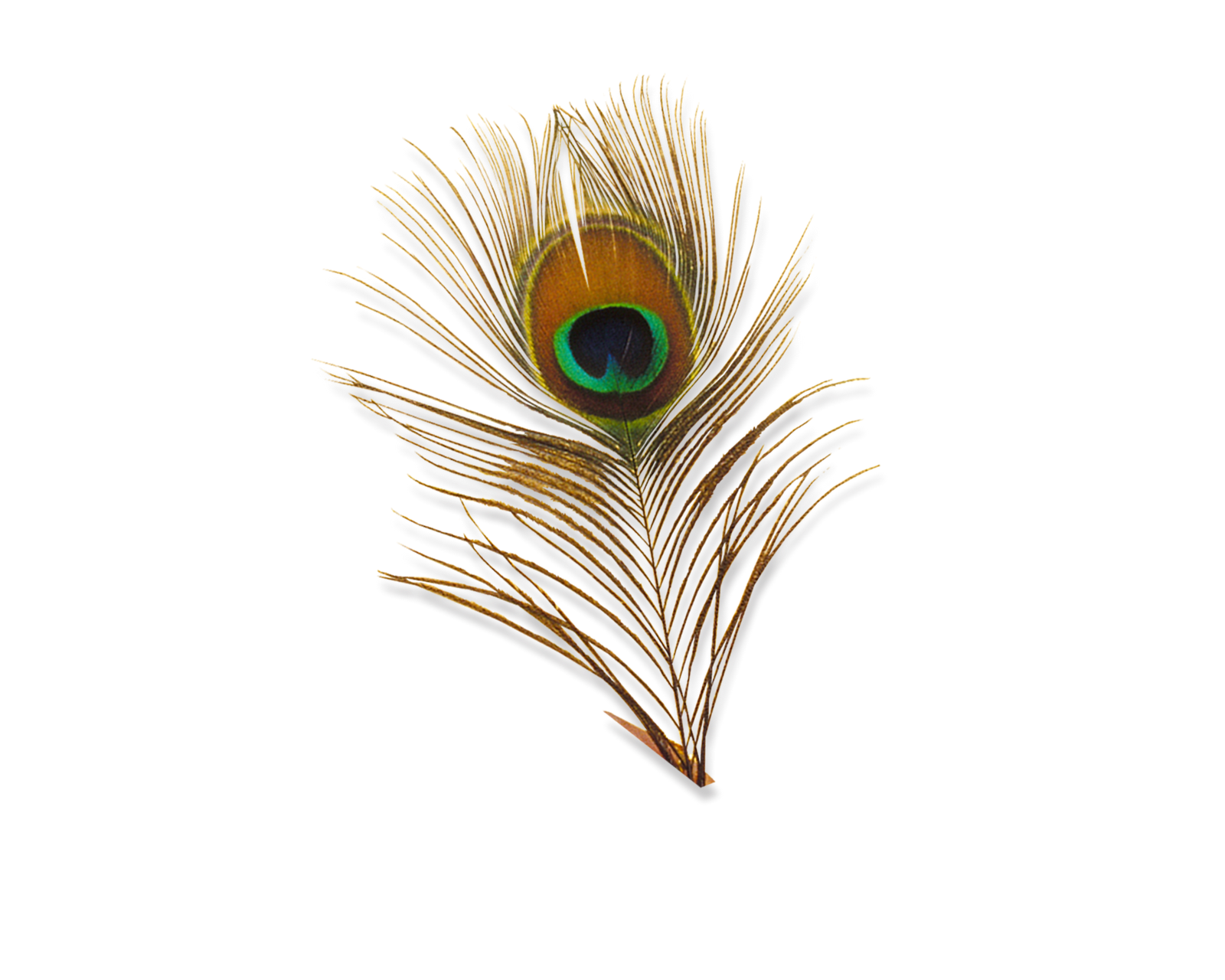 God PNG – Divine & Spiritual Transparent Images Download 4