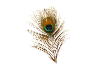 God PNG – Divine & Spiritual Transparent Images Download 4