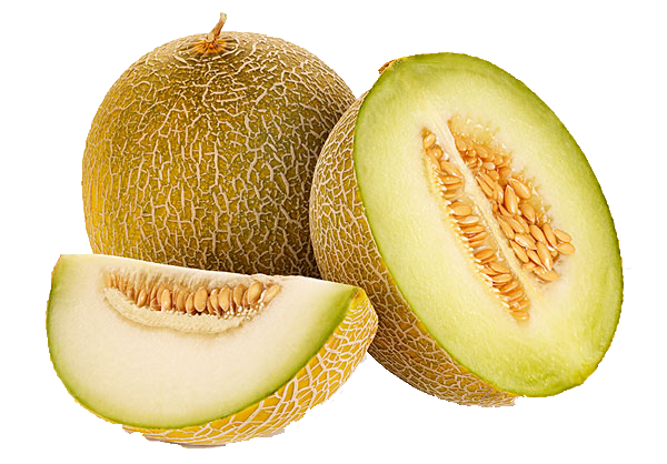 Whole and Sliced Galia Melon Fruit Free Download