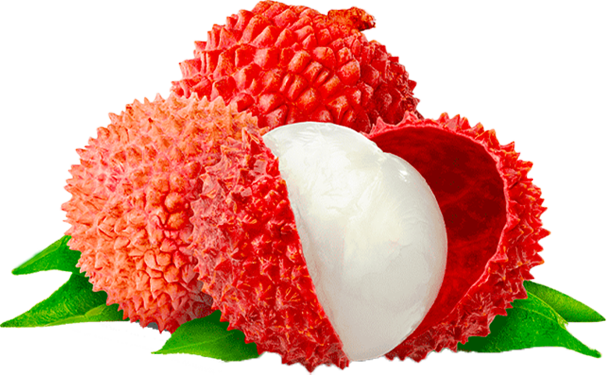 Fresh Red Litchi Fruit with Leaf Free Download
