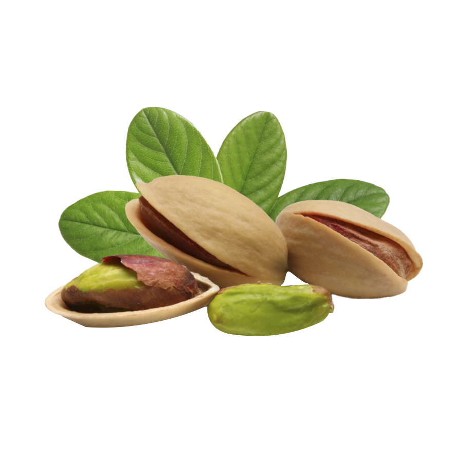 Roasted Pistachio Nuts with Leaves Free Download