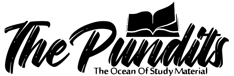 The Pundits Education Logo PNG Image