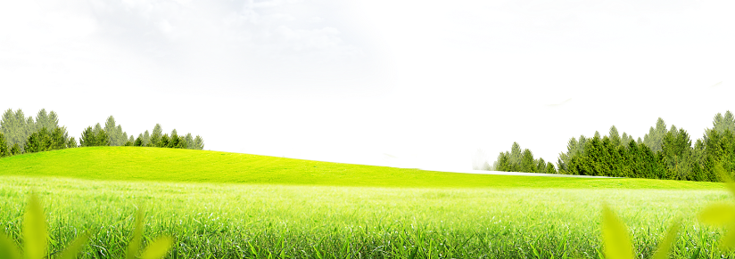 Green Rolling Hills Landscape Free PNG