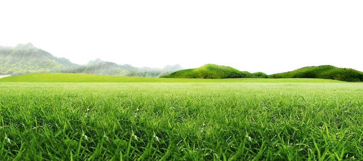 Simple Green Grass Field Clipart