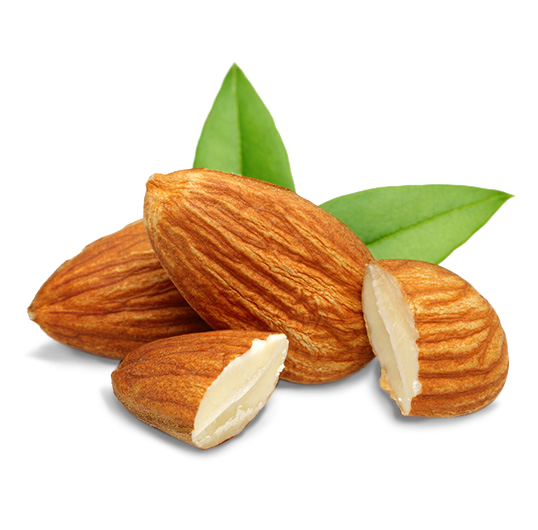 Whole Almonds with Green Leaves
