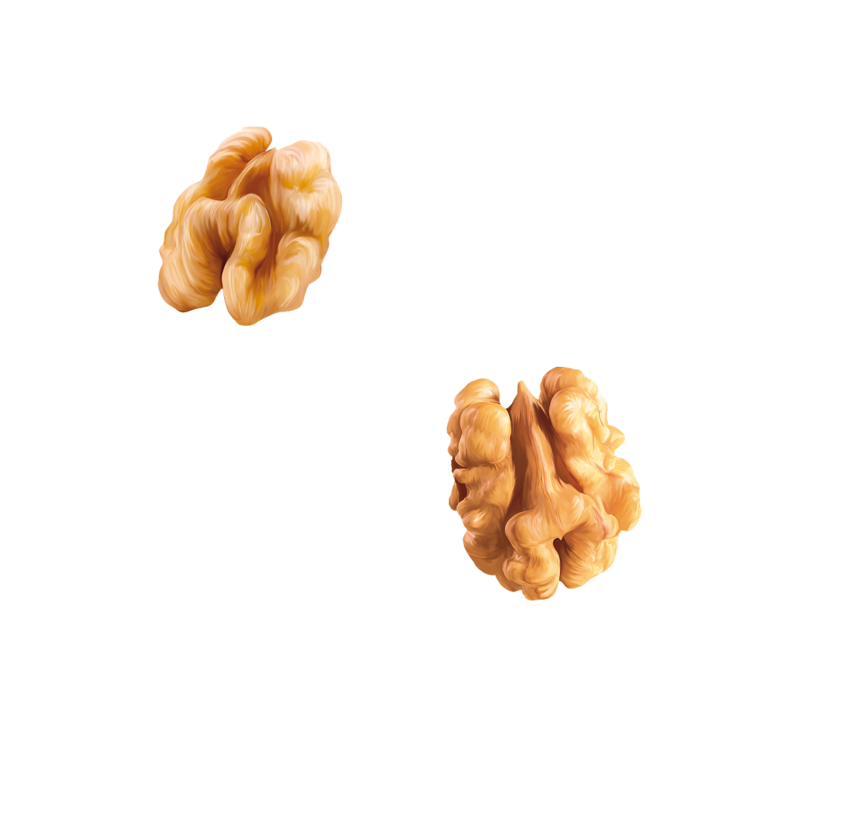 Shelled Walnut Kernels Pile