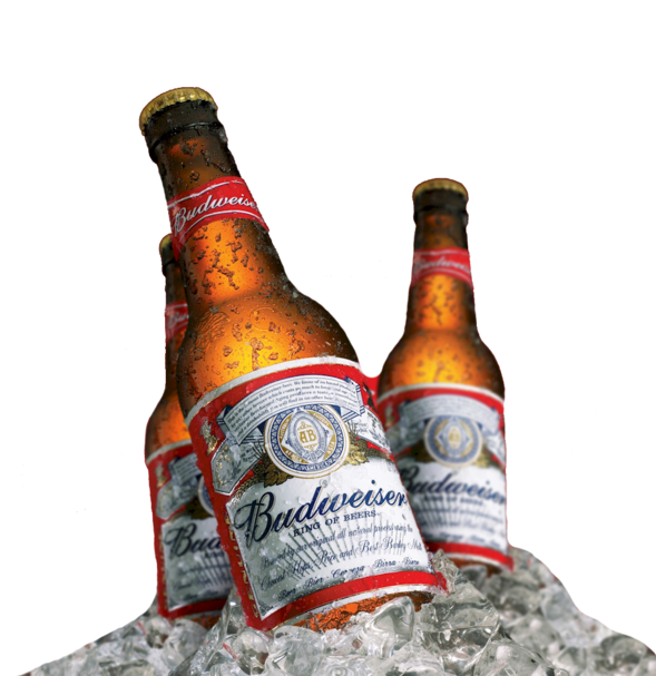 Budweiser Beer Bottles in Ice