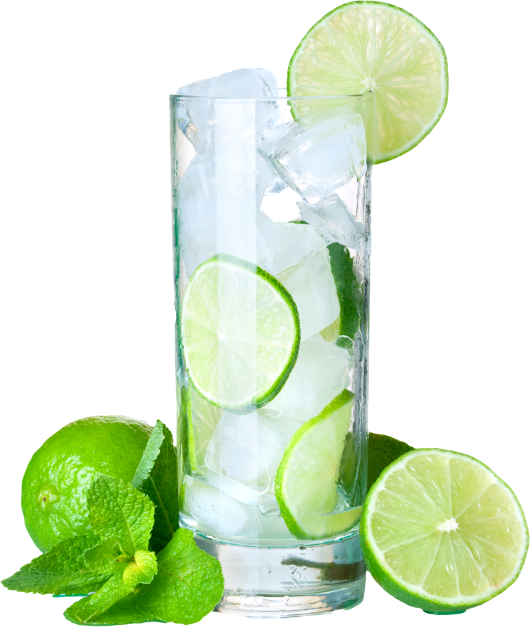 Fresh Mojito Cocktail Glass