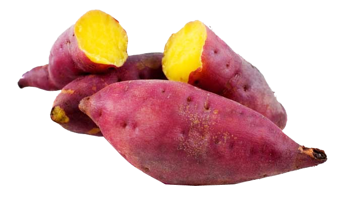 Japanese Purple Sweet Potato