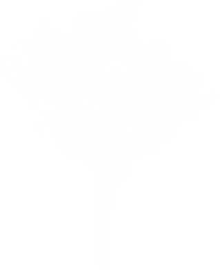 Abstract White Smoke Swirl Overlay