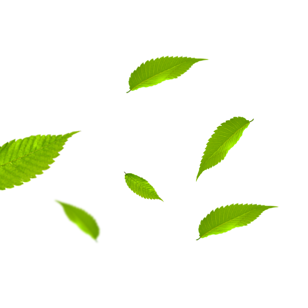 Falling Green Leaves Clipart