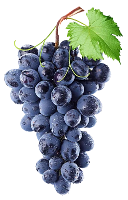 Fruits PNG Transparent Images