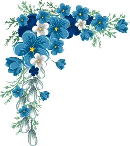Flower PNG – Beautiful & Colorful Transparent Images Download 3