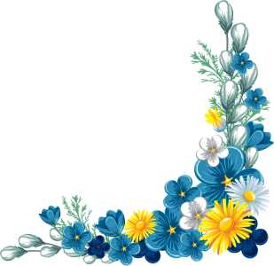 Flower PNG – Beautiful & Colorful Transparent Images Download 5