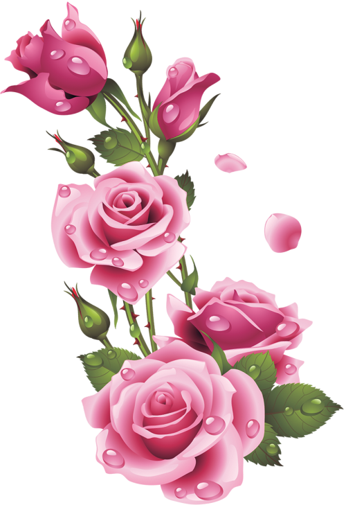Flower PNG – Beautiful & Colorful Transparent Images Download 13