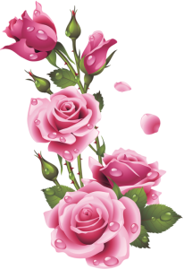 Flower PNG – Beautiful & Colorful Transparent Images Download 13