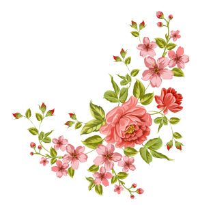 Flower PNG – Beautiful & Colorful Transparent Images Download 15