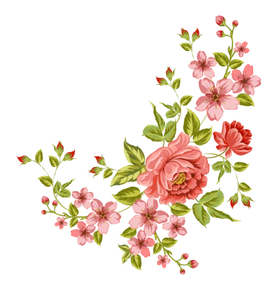Flower PNG – Beautiful & Colorful Transparent Images Download