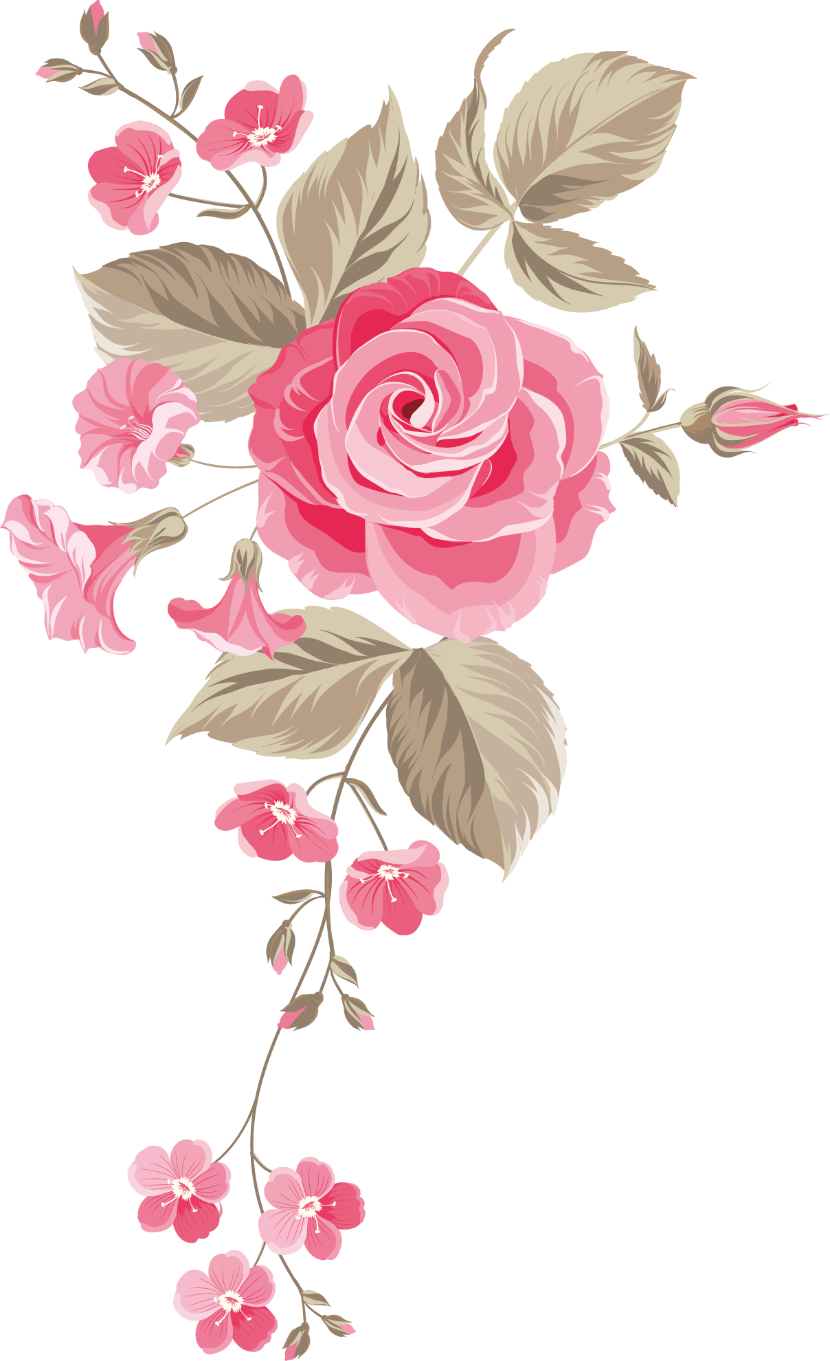 Flower PNG – Beautiful & Colorful Transparent Images Download 17