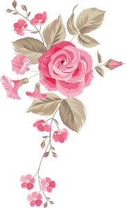 Flower PNG – Beautiful & Colorful Transparent Images Download 17