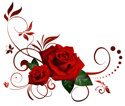 Flower PNG – Beautiful & Colorful Transparent Images Download