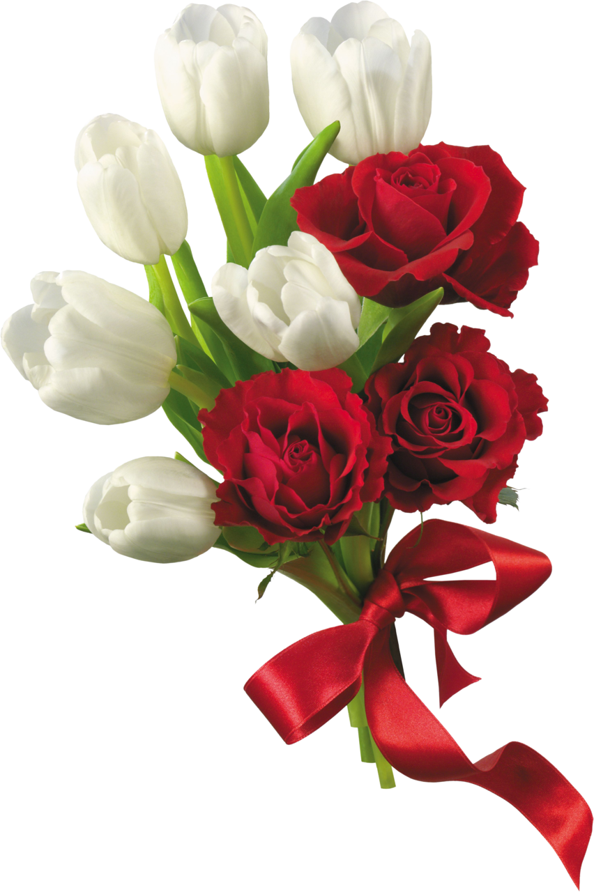 Flower PNG – Beautiful & Colorful Transparent Images Download 19