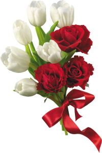 Flower PNG – Beautiful & Colorful Transparent Images Download 19